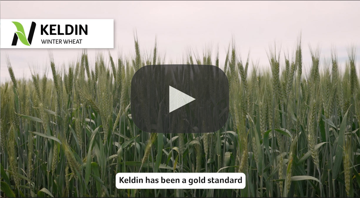keldin