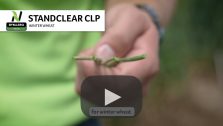 standclear clp